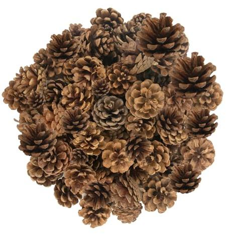 50PCS Christmas Natural Pine Cones, Pinecones Christmas Tree Hanging Ornament 2-4cm Mini Pine Cones Wreath Making Supplies for DIY Crafts Home Xmas Tree Winter Wreath Garland Wedding Decor