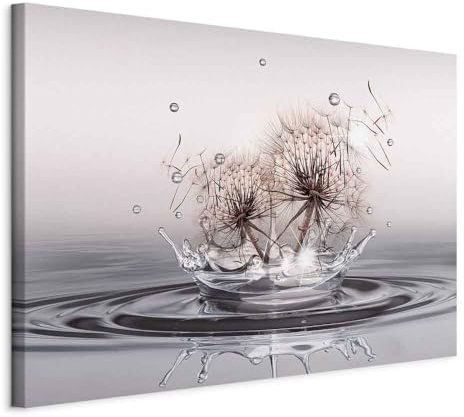 artgeist Acoustic Canvas Wall Art Print Dandelions 35x24 in - 1pcs Picture with Acoustic Foam Sound Print Artwork Room Acoustics Soundproofing Flowers Waterdrops Nature b-C-10098-b-a