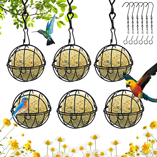 Mangeoire pour Oiseaux Extérieur Suspendue - Lot de 6 avec Crochets en Forme de S, Métal Boule de Graisse pour Oiseaux Sauvages - pour la Cour, la Maison, Le Jardin