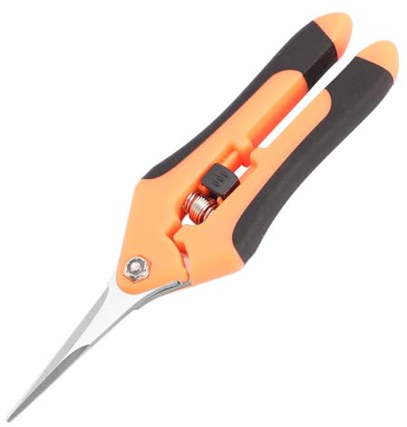 ZORVYN 1 pezzo Forbici Potatura Professionali, Cesoie Giardinaggio con Manico Ergonomico, Forbici Potatura, Forbici da Giardino, Cesoie Potatura, Giardinaggio Attrezzi