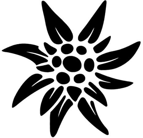 generisch Edelweiß Aufkleber Alpin Alpen Sport Wandern Verein Silhouette Aufkleber (248) (Schwarz Glanz, 10 cm)