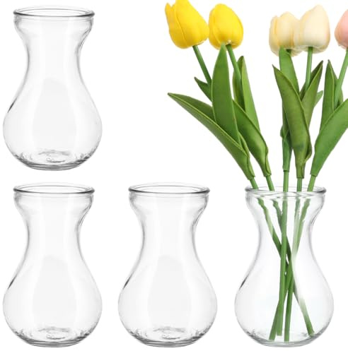 DEARMAMY Glasvase Klein Rund Hyazinthenvase Für Hydroponische Anzucht Klare Blumenvase Kleine Dekovasen Für Tischdeko Wohnzimmer Büro Wohnaccessoires