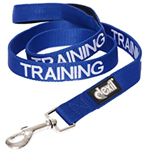 Dexil TRAINING (In Training/Do Not Disturb) Blue Warning Dog Colour Coded Padded 1.8m 6ft Lead Leash