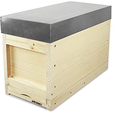 APIFORMES Ablegerkasten Zander - 5 Waben