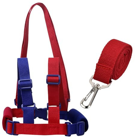 Ehuihuan Kinder Sicherheitsleine, Anschnallgurt Schutz Kinder, Sicherheitsleinen FüR Kinder, Kindersicherheitsgurt, Kindergurt für Steh - und Lauflernhilfen-120cm