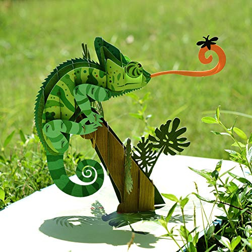 CUTPOPUP Chameleon Card Pop Up, 3D Birthday Card For Daughter, Son, Nephew, Niece, Grandson, Granddaughter - Wonderful For Children, Kids, Teenager, Pre School UK