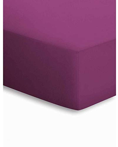 schlafgut Spannbetttuch Jersey-Elasthan Beere, 180x200-200x220 cm