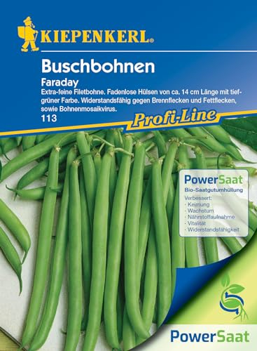 Kiepenkerl Profi-Line Buschbohnensamen Faraday, Powersaat - Filetbohnen Sorte, ertragreiche Gemüsesamen mit 14 cm langen Hülsen - Gartensamen einjährig - Saatgut für 20 Pflanzen