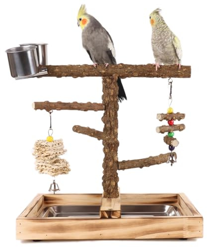 WishesMar Parque de Juegos para Pájaros Gimnasio para Aves Stand Área de Juego con Soporte Perchas Escalera Bandeja para Agapornis, Loros, Madera, Tamaño 35.6x26x34 CM