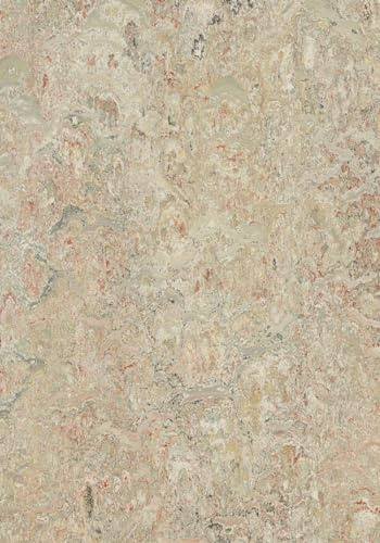 Forbo Marmoleum Click Cinch LOC Seal Waterproof Seal 933427 Agate 12 x 36 Linoleum Tile Flooring (20.3 SF/Box)