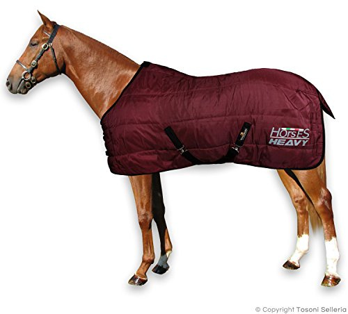 Horses, Chevaux Couverture d'hiver Heavy pour Cheval, Douce et Confortable, Idéale pour Box, Résistante, Bords en Nylon Renforcé(Bordeaux, 135 cm)