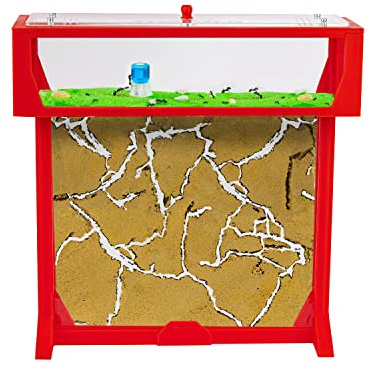 AntHouse - Fourmiliére de Sable | Kit T Big 3D 25x20x1,5 cm | Ferme de Fourmis Rouge | Colonie de Fourmis Incluse