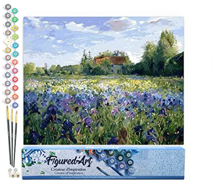 Figured'Art Pintar por Numeros Adultos Campo De Flores Azules - Manualidades pintura acrilica Kit Cuadro DIY completo - 40x50cm sin bastidor