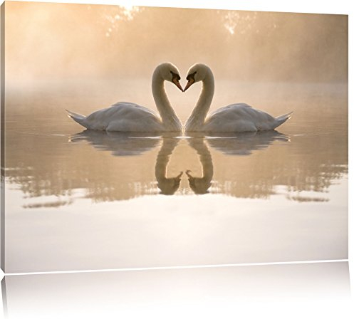 Pixxprint Verliebte Weisse Schwäne im Morgengrauen, Größe: 60x40cm, Leinwandbild, fertig gespannt, Wandbild, Dekoration, Kunstdruck, kein Poster