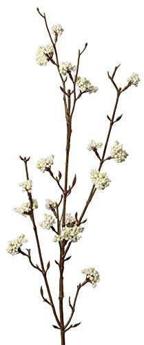 artplants.de Branche de callicarpe Artificielle Larina, Baies, crème, 70cm - Baies artificielles/Branche Artificielle