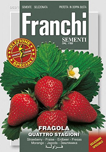 SEMI FRAGOLA 4 STAGIONI FRANCHI SEMENTI