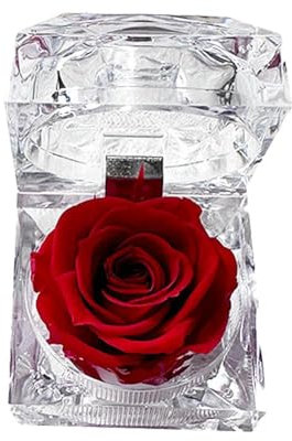 J7f8 Boîte à bijoux en acrylique avec rose éternelle pour la Saint-Valentin, fête de mariage, anniversaire