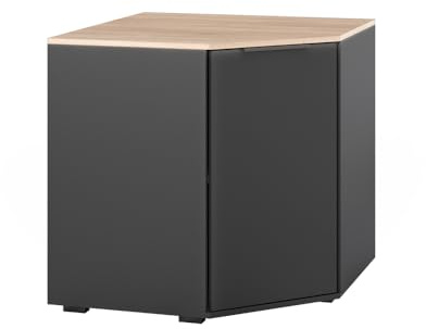 Vicco Sideboard Betti, Anthracite/Sonoma, 77.9x77.9cm | avec 1 porte, pour le rangement de vêtements et d’objets du quotidien