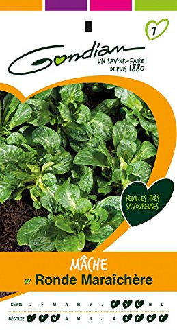 Gondian 153175 Semences-Mache Ronde Maraichere-CP 1, Vert, 1x8.1x16 cm