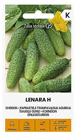 Zalia stotele | CORNICHONS LENARA H des Graines | Graines de Légumes | Graines de Plantes | Graines de Jardin | 1 Paquet