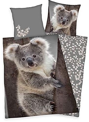 Klaus Herding GmbH Bettwäsche Set mit Koala 135 x 200 cm 80 x 80 cm 100% Baumwolle