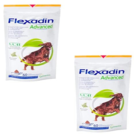 Flexadin Advanced für Hunde | Doppelpack | 2 x 60 Chews | Ergänzungsfuttermittel zur Unterstützung der Gelenkgesundheit | Mit immunaktivem Kollagen, Omega-3 & Vitamin E