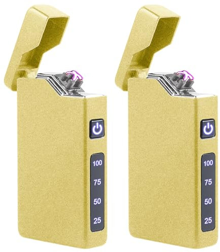 GBKDQQ 2 accendini elettrici ad arco elettrico, ricaricabili USB, accendino portatile con indicatore della batteria, regalo per uomini e donne con confezione regalo (oro)