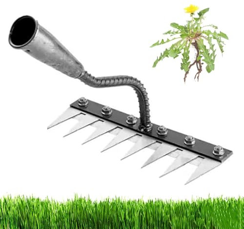 DEJIN Râteau de désherbage en fer robuste – Râteau en fer à 8 dents pour un jardinage et un désherbage efficaces