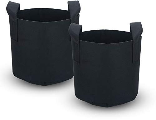 INTIRILIFE 2X Sacchetto per piantine in Tessuto Felpato 75 Litri -20 galloni 55 x 30 cm - Vaso per Piante con Maniglie per Il Trasporto per Il Giardino, la Serra - Sacchetto per fioriere Sacchetto