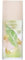 Elizabeth Arden Green Tea Pistachio Crunch Eau de Toilette, parfum gourmand et petillant, note de pistache et de bergamote