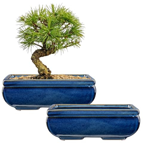 Oairse 2er-Set Bonsai Keramiktopf Bonsaischale mit Entwässerungslöchern für Japanische Bonsai Zimmerpflanzen, Retro-Dekoration für Gartenbehälter-Sets im Freien, Durchmesser Öffnung 22cm