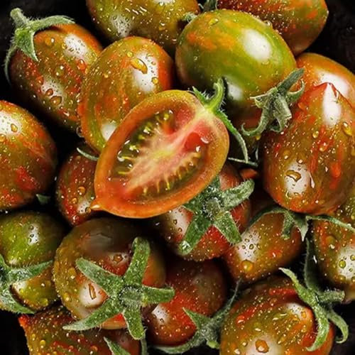 RFEGJVII 600pcs Nicht-Gentor-Tomatensamen mit hohem Zucker, Erbstückssamen, seltene Kulturerbe-Tomatensamensammlung, nachhaltige offene Samenpackung, süße saftige Tomaten F