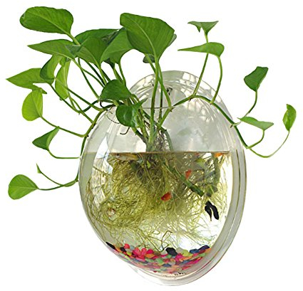Sweetsea Hanging Wall Mounted 1 Gallon Fish Tank Bowl Aquarium Wall Decor Plant Fish Bubble - Clear (Large)