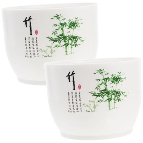 Hemobllo 2pezzi Vasi Idroponici Per Decorativi Per Design Versatile Per Ed Per e