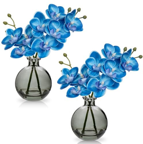 Hollyone 2pcs Artificial Blue Orchid Flower in Vase, Small Fake Orchid Plant with Glass Vase, Decorative Faux Phalaenopsis for Wedding, Centerpiece, Home Decor, Living Room, Bathroom Decorations