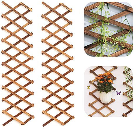 Iceyyyy Maceta de pared de celosía de madera, paquete de 2 unidades, marco de enrejado de madera expandible, para plantas de aire interior, estante vertical para decoración de pared para habitación