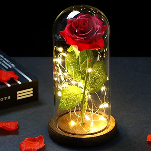 NLIGHTING® Rosa Eterna Stabilizzata In Campana effetto Vetro Regalo per Lui per Lei Fidanzata Moglie di San Valentino, Kit la Bella e la Bestia Rosa Eterna Infinita Incantata in Campana effetto Vetro