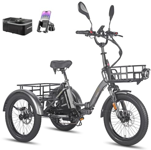 Fafrees F20 Mate E-Bike Dreirad, 3 Rad Ebike 48V 21Ah Akku, E Bike Klapprad 20*3.0 Zoll, Lastenfahrrad für Erwachsene 65N.m, Elektro Dreirad für Senioren (Vorderer Korb + kleiner hinterer Korb, Grau)