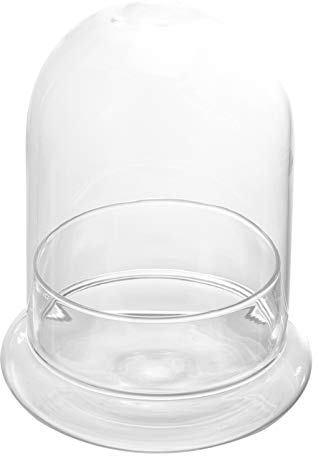 YARNOW de Cristal de Campana con Base de Mesa Cúpula Central para Plantas Suculentas Luces de Hadas Fotos Medallas Relleno Decorativo