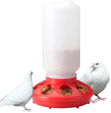 Distributore di cibo per polli – Secchio per bottiglie d'acqua per polli, attrezzature per allevamento di pollo, mangiatoia senza rifiuti per quaglie | Contenitore per cibo rimovibile, per