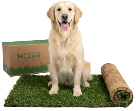 DoggieLawn Dog Potty - Real Grass - XLarge 24x48 inches