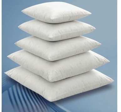 BIANCHERIAWEB Imbottitura Anima Interna per Cuscino Arredo in 100% Piuma D'Oca Varie Misure 65x65 Cuscino