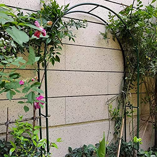 Garten-Rosenbogen aus Metal,Gartenbogen Rankhilfe,für Kletterpflanzen,Gartenlaube Pergola Spalier für Indoor/Outdoor,Wetterbeständig Rankbogen,Rankgitter Torbogen Rankenbogen,Hochzeit Rasengarten