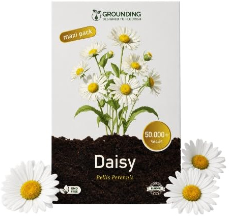 Grounding Maxi - Semi di Margherita, 50.000+ semi, altezza 15 cm - Ideale per prato, bordure, aiuole e vasi - semina facile e fioritura veloce - Qualità Europea