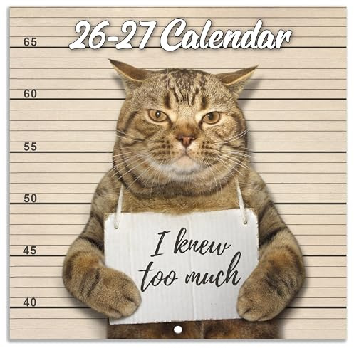 2024 Wall Calendar - Funny Cat 2024, January December Gag Gift Memes Pics, 12'' x 24'' Opened, Best for White Elephant Gift, Prank Brown (YAMMBQBQMD24A01)