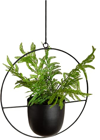 Anawakia Maceta colgante de metal para colgar flores (redonda), color negro
