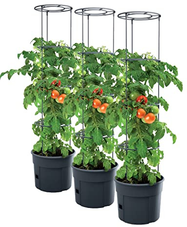 Set med 3 krukor för tomatplantor – 392 x 1 530 mm – planteringskruka för tomater, växter, tomat, trädgård, terrass