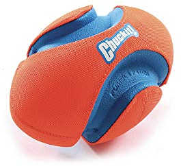 Chuckit! CH253101 Fumble Fetch Small