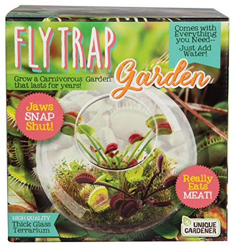 Carnivorous Fly Trap Glass Terrarium Garden Kit by Unique Gardener, Plant Terrarium Starter Supplies for Indoor Gardening - Watch Jaws Snap Shut - Easy & Fun Flytrap Planting Lasts for Years!