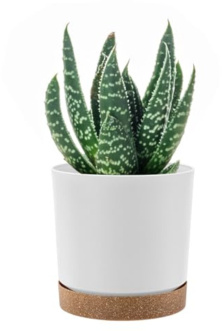 PAFEN rund blomkruka 14,5l cylinderkruka - 29 x 28,5cm - blomkruka med fat rund kruka, vit